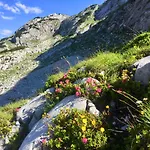 Penzion Vocario Pfarrwerfen