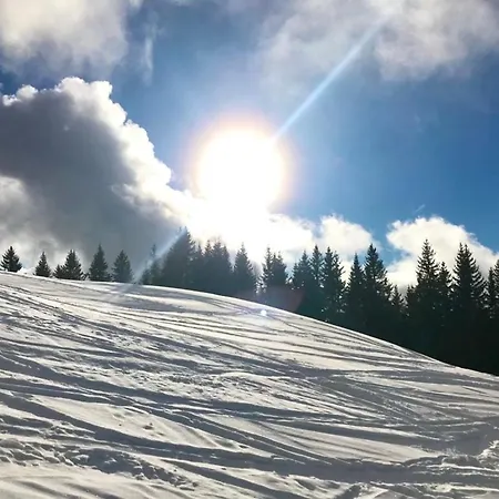 Pensjonat Vocario Pfarrwerfen